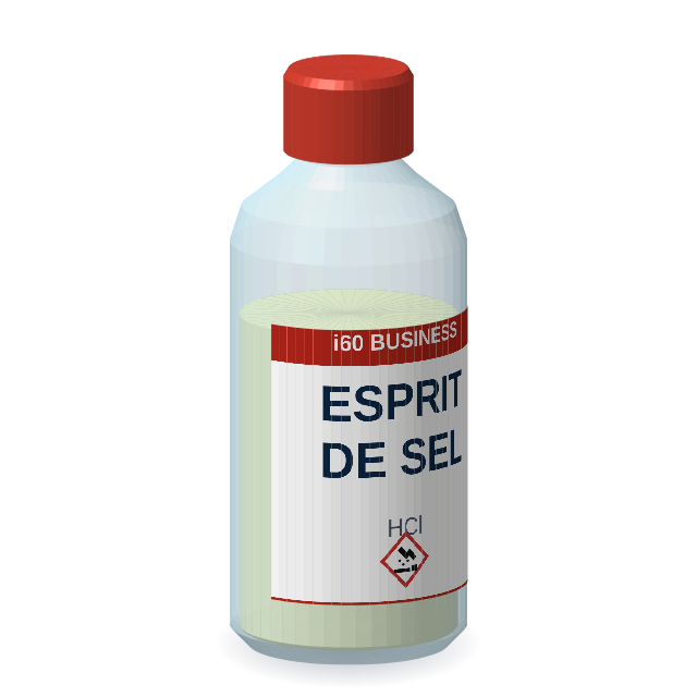 Esprit de sel