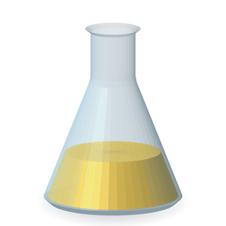 Erlenmeyer